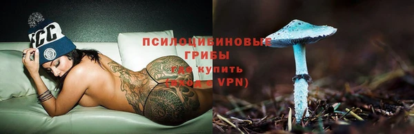 дживик Медвежьегорск