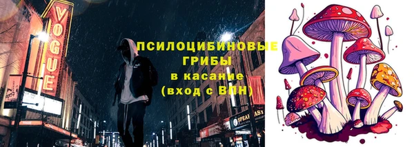 ECSTASY Майский