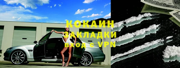 винт Лиски